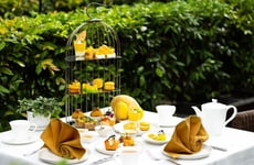 Vibrant Mango Experiences