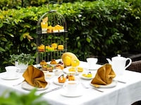 Vibrant Mango Experiences
