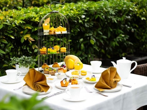 Vibrant Mango Experiences