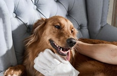 Glove-Shaped Pet Wipes