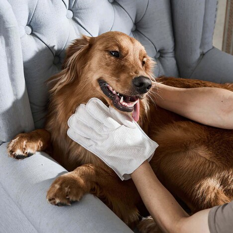 Glove-Shaped Pet Wipes