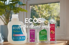 Family-Focused Cleaning Campaigns