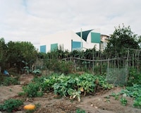 Sculptural Inverted Homes