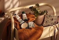 Canadian Beauty Relaunches Image 2