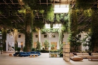 Verdant Adults-Only Destinations