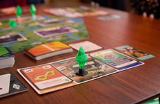 Analog Life Board Games