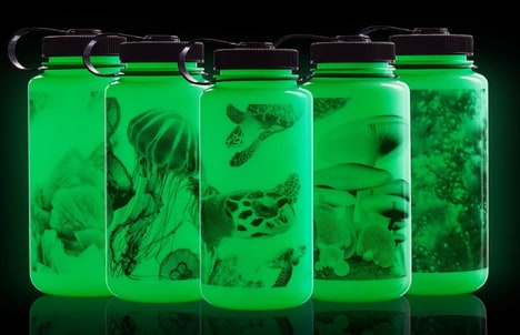 Glowing Water Bottles
