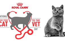 Myth-Busting Pet Campaigns