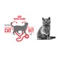 Myth-Busting Pet Campaigns Image 1