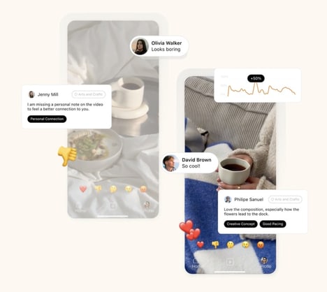 Video Feedback Platforms