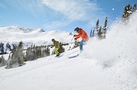 Social Winter Sports Promotions