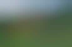 Large-Scale Recreational Landscape Projects