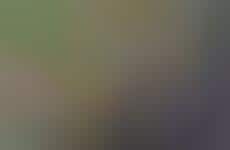 Pickleball-Focused Urban Developments