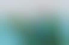 Versatile Nature-Inspired Garments