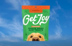 Spiced Pumpkin Dog Treats