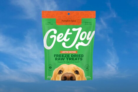 Spiced Pumpkin Dog Treats