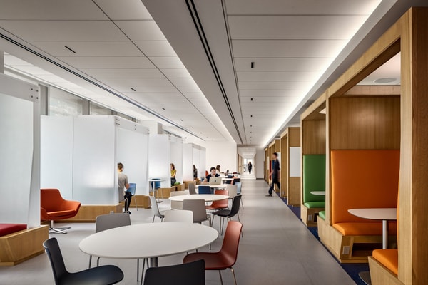 Modernized Fluid College Buildings