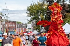 Free Neighbourhood Public Festivals