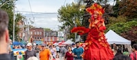 Free Neighbourhood Public Festivals Image 1
