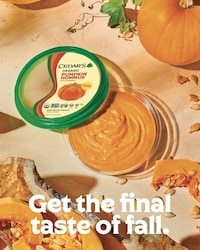 Creamy Fall-Enthused Hummus Image 1