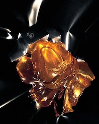 Next-Gen Emotive Fragrances Image 1