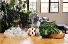 Plant-Powered Dog Chews