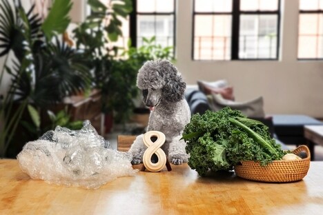 Plant-Powered Dog Chews