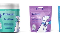Dog Digestive Health Platforms