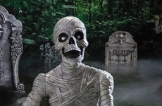 Family-Friendly Halloween Essentials