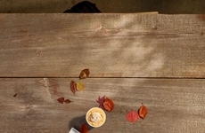 Fall-Inspired Cold Treats