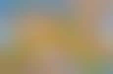 Nostalgic 2000s QSR Menus