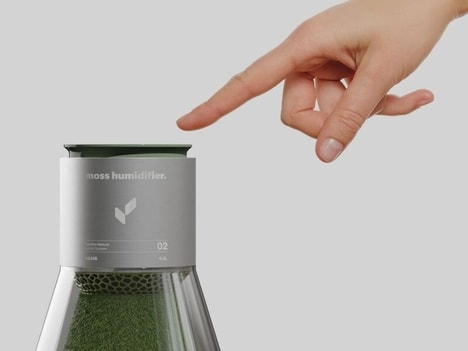 Living Moss Humidifiers