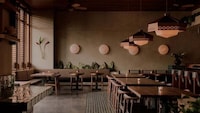 Tropical Brutalist Dining Image 4