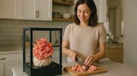 App-Connected Mushroom Growers