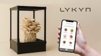 App-Connected Mushroom Growers Image 2