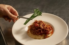 Plant-Based Foodservice Meats