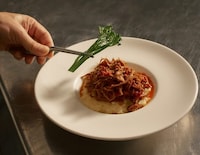 Plant-Based Foodservice Meats Image 1