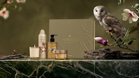 Introspective Self-Care Collections