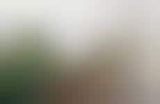 College Gameday Campaigns