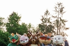College Gameday Campaigns