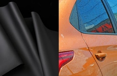 Plant-Based Car Leather