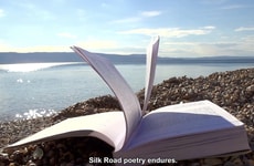 AI-Generated Marketing Videos