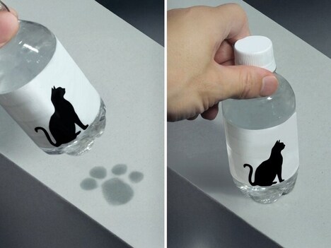 Adorable Pawprint Bottles