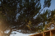 Coastal Lookout Residences