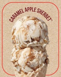 Spiced Apple Ice Creams Image 5