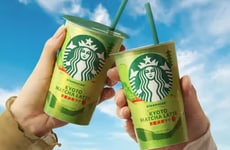 On-The-Go Matcha Lattes