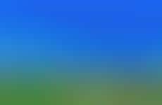 American Football-Focused Venue Initiatives