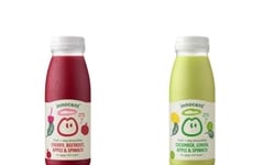 Vegetable-Rich Fruit Smoothies