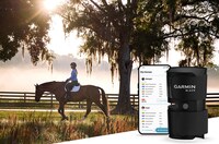 Horse-Focused Health Monitoring Solutions Image 1