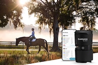 Horse-Focused Health Monitoring Solutions
